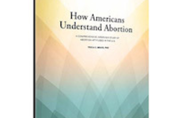 Published Book Mockup Abortionstudy