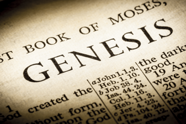 Genesis 1 Literature Or Theology