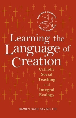 Cover of the book Learning the Language of Creation by Sr. Damien Marie Savino, FSE
